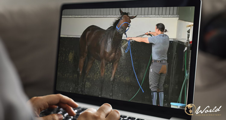 Majority of Australians Indifferent To Melbourne Cup, Essential Poll Reveals